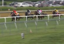 Pimlico Race Course Live Webcams New Baltimore, Md.