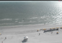 Pink Shell Beach Cam, Fort Myers Beach | Hd Live Video