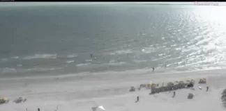 Pink Shell Beach Cam, Fort Myers Beach | Hd Live Video