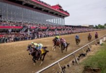 Preakness Stakes Live Video - Baltimore, Maryland