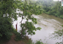 Rappahannock River Cam - Fredericksburg, Va