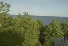 Lake Erie Bluffs live Webcam New