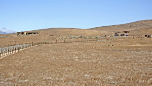 Antelope Valley Poppy Reserve Live Webcam