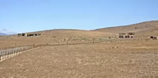 Antelope Valley Poppy Reserve Live Webcam