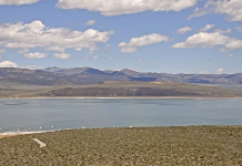 Mono Lake Live Webcam New