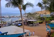 Maui Ocean Center Webcam