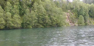 Cowlitz River Live Cam - Washington | Hd Video