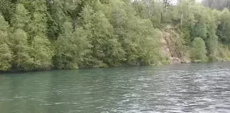 Cowlitz River Live Cam - Washington | Hd Video