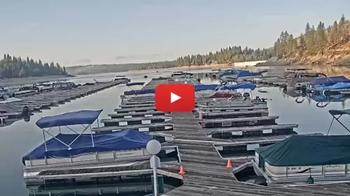 Shaver Lake Cam & Weather, Sierra National Forest