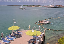 Hyatt Centric Key West Webcam