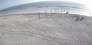 Ponce Inlet Beach Webcam | Florida