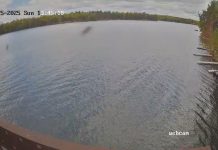 Beacons Of Minocqua Webcam | Wisconsin