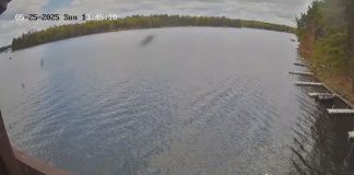 Beacons Of Minocqua Webcam | Wisconsin