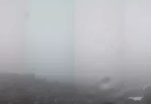 Mt Wellington Webcam | Australia