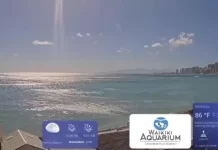 Waikiki Aquarium Webcam