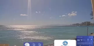 Waikiki Aquarium Webcam