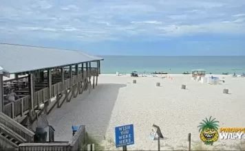 Pineapple Willy's Beach Cam