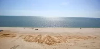 Gull Wing Webcam