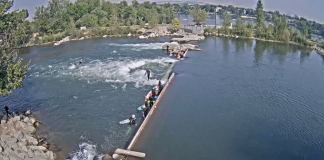 Boise River Park | Whitewater | Live Hd Cam