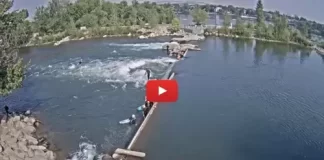 Boise River Park | Whitewater | Live Hd Cam