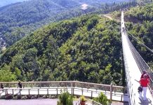 Gatlinburg Sky Bridge - Live Webcam - Tennessee