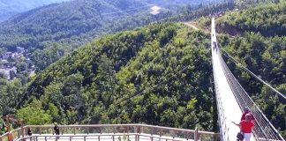Gatlinburg Sky Bridge - Live Webcam - Tennessee