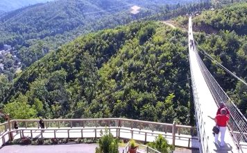 Gatlinburg Sky Bridge - Live Webcam - Tennessee