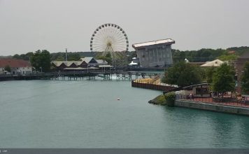 Ripley's Aquarium Myrtle Beach Webcam - South Carolina