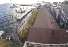 Cherry Grove Fire Island Webcam - Ny
