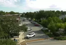 Summerville Sc Webcam | Hutchinson Square