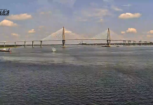 Charleston Aquarium South Carolina Webcam