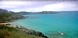 Webcam In Bermuda Live Hd Streams