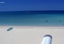 Jamaica Webcams Live Streaming Videos