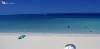 Jamaica Webcams Live Streaming Videos