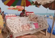 India Cams Live Hd Views Around The Country