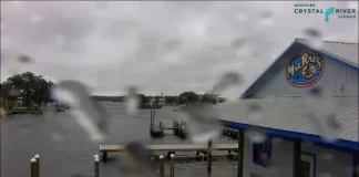 Homosassa Springs Webcam, Fl | Live Hd Video
