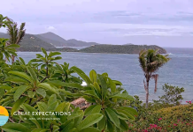 Us Virgin Islands Webcams - America's Paradise