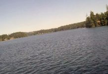 Woahink Lake Webcam | Oregon