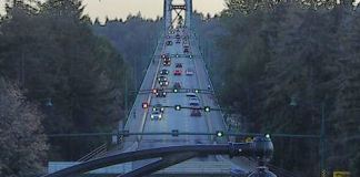 Lions Gate Bridge Cam