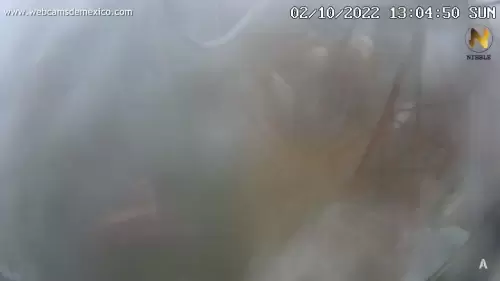 Manzanillo Webcam Cerro del Toro – Colima, Mexico