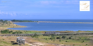 Live Webcams In Dauphin Island, Alabama