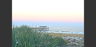 Tybee Island Live Webcams In The State Of Georgia
