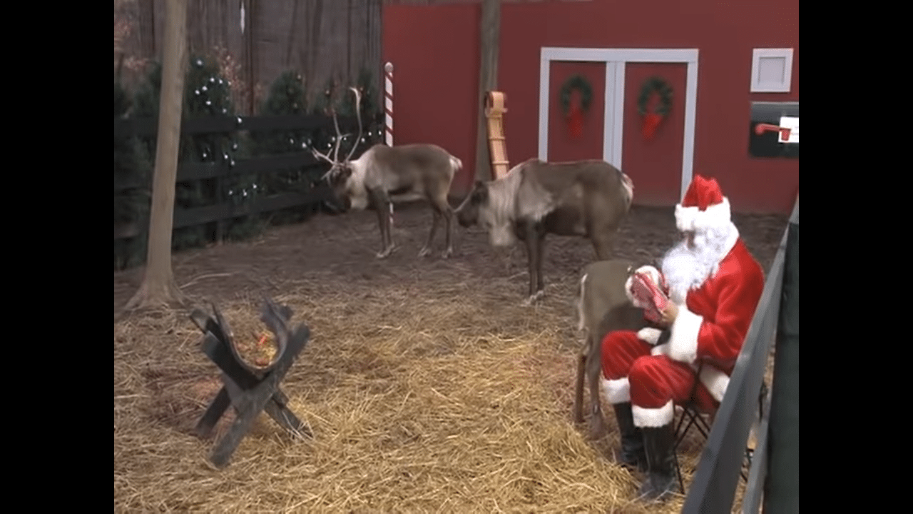 Reindeer Cam With Santa Claus in North Pole