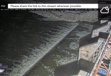 Sanford Dam Webcam | Mi