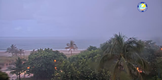 Palm Beach County Webcams | Florida