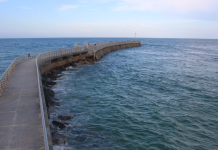 Brevard County Webcams | Florida