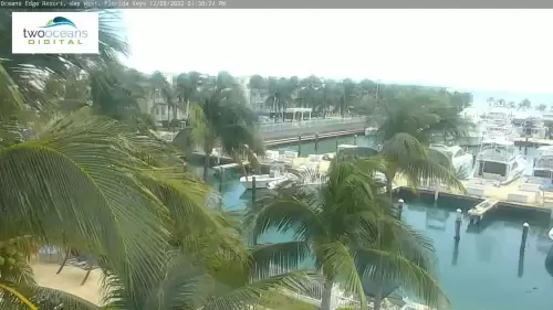 Live Webcam Oceans Edge Resort & Marina – Key West, FL