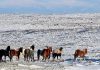 Baggs, Wyoming Weather