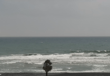 Cardiff State Beach | Encinitas, Ca