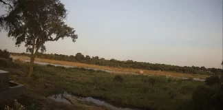 Kruger Gate Hotel